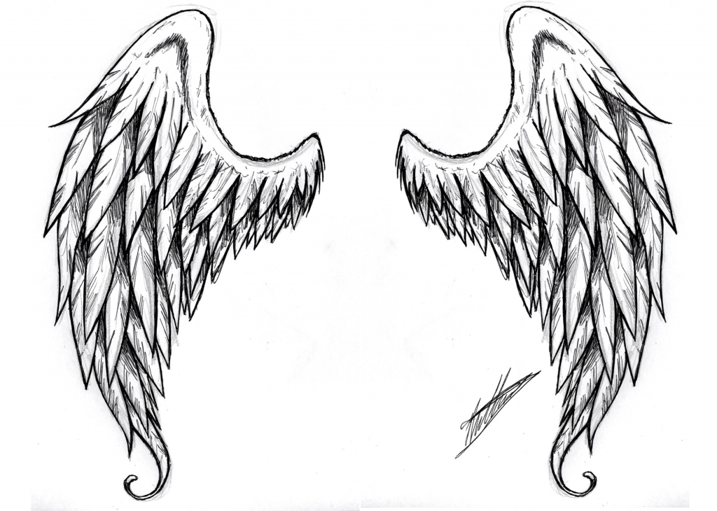Broken Wings Drawing