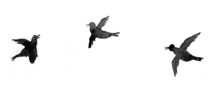 701x315 Excerpt From Broken Wing September And October