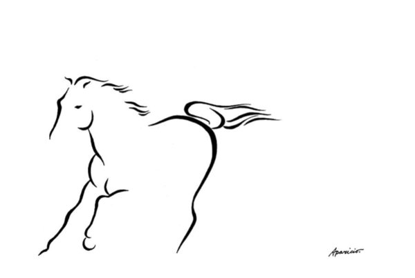 600x403 Broncos Drawings