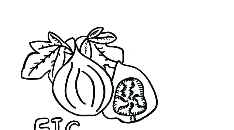 770x430 Printable Denver Broncos Logo