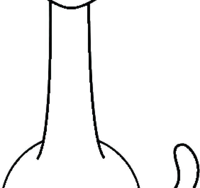 640x600 brontosaurus coloring