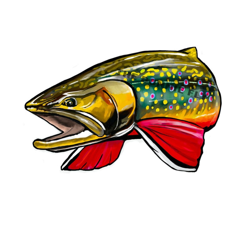 794x726 Brook Trout Decal Vinyl Fishing Sticker Fly Fish Wild Etsy