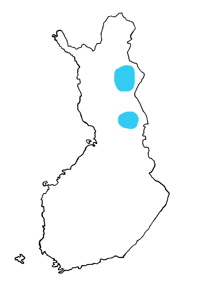 665x941 Brook Trout Maretarium