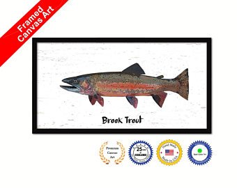 340x270 Brook Trout Canvas Etsy