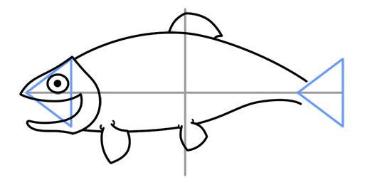 520x260 How To Draw A Fish