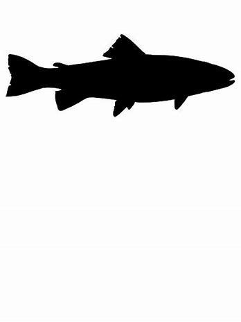 348x464 Image Result For Trout Drawing Outline Airbrush Stencils Sablony