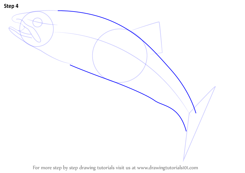 844x598 Learn How To Draw A Trout