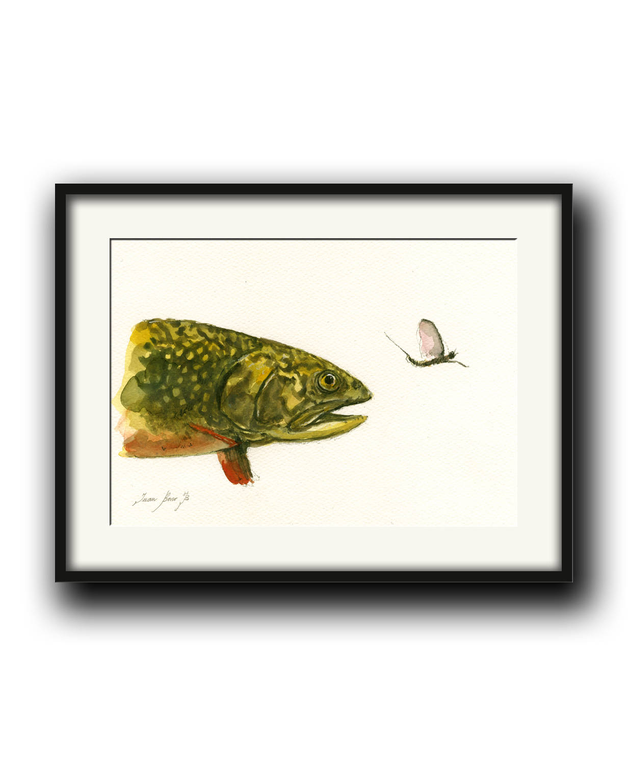 1232x1502 Print Brook Trout Fish Eating Mayfly Fly Fishing River Print Etsy