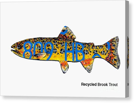 546x419 Recycled Brook Trout Mixed Media