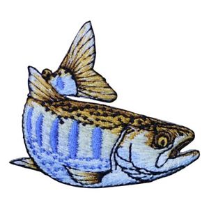 300x300 Striped Brook Trout Applique Patch