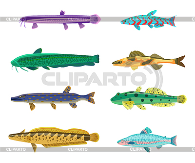 400x333 trout stock photos and vektor clipart cliparto