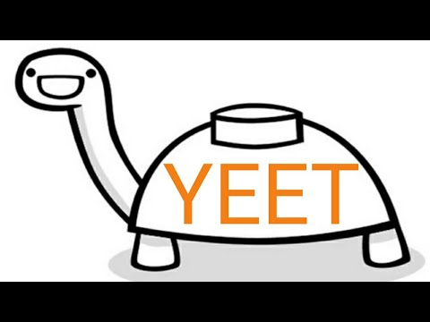 480x360 My Brother Drawing A Mine Turtle