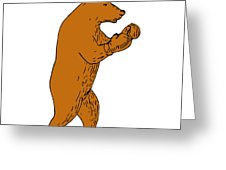 226x170 Brown Bear Boxing Stance Drawing Digital Art