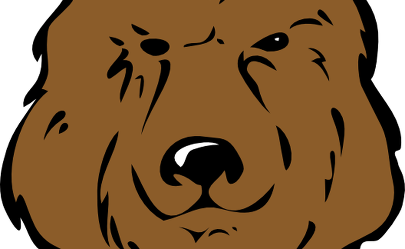 800x491 Download Brown Bear Head Drawing Clip Art At Clkercom Vector