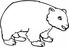 230x155 Drawing Brown Bear Coloring Pages Best Place To Color