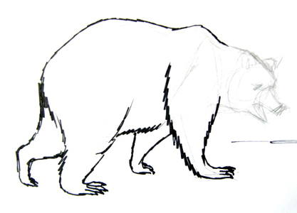 417x300 How To Draw A Brown Bear