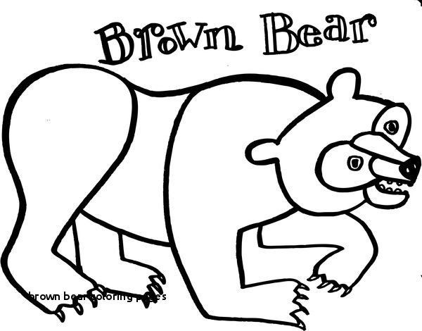 600x470 New Realistic Polar Bear Coloring Pages Lovely New Brown Bear