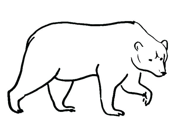 600x430 Brown Bear Coloring Pages