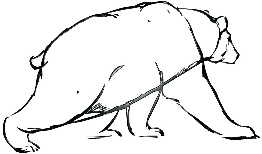1024x601 Simple Bear Drawing