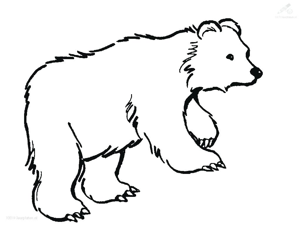 1024x768 Brown Bear Colouring Sheets Brown Bear Coloring Pages Colouring