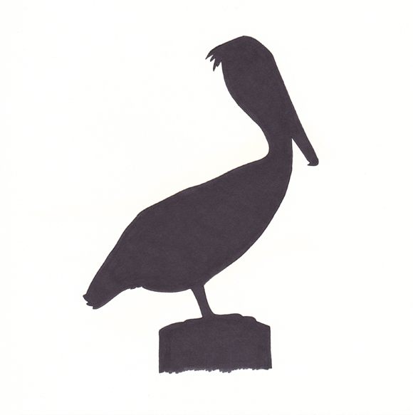 580x583 Birds Without Borders Rachelle Vasquez