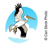 168x179 brown pelican illustrations and stock art brown pelican