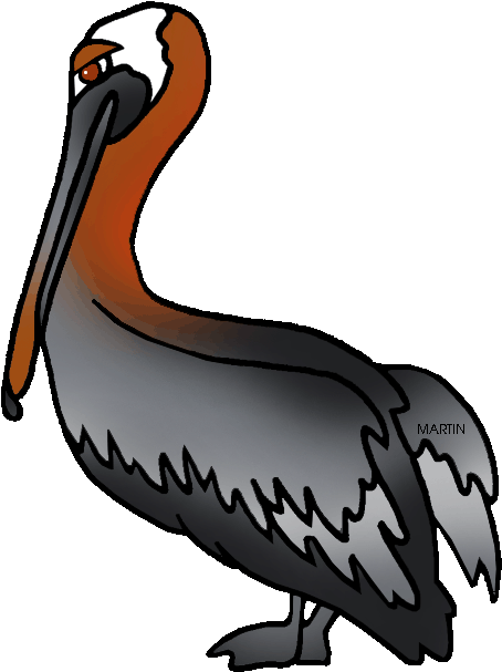454x607 hd pelican clipart brown pelican