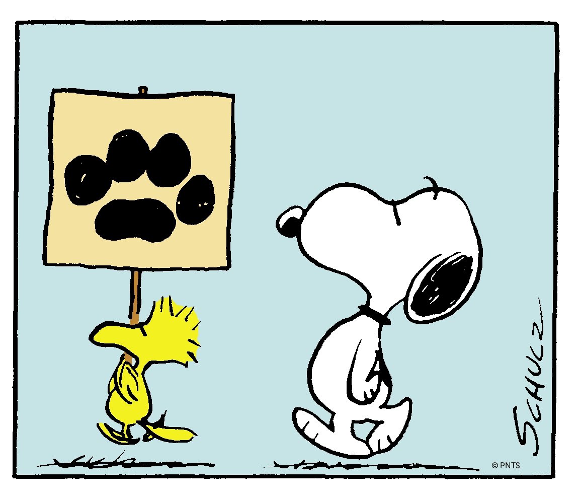 1151x991 Good Grief, Charlie Brown! Review Ultimate Peanuts Collection Has