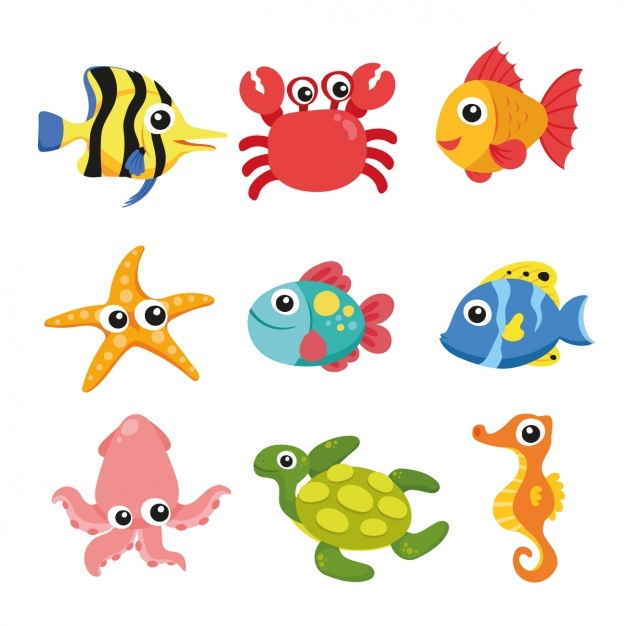 626x626 Fish Vectors, Photos And Free Download