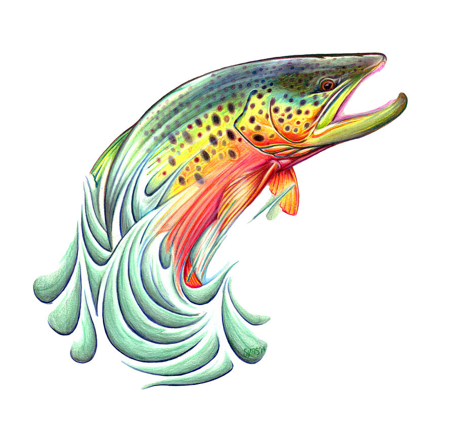 900x836 Brown Drawing