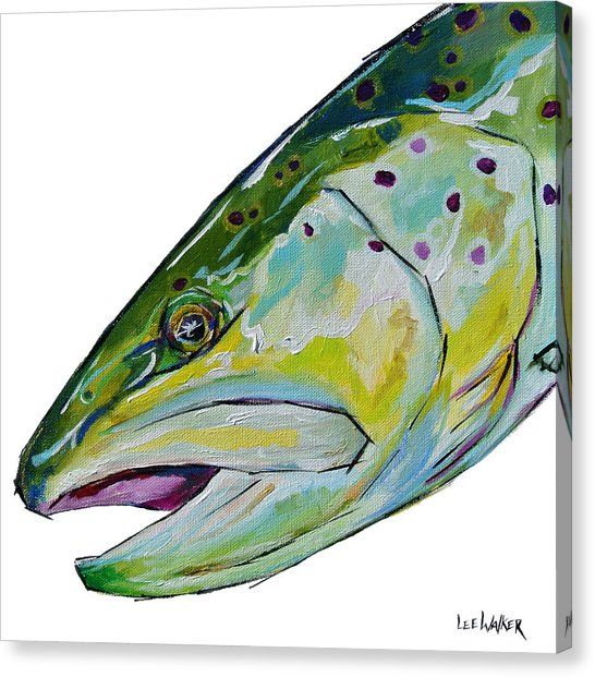 546x621 Brown Trout Canvas Prints