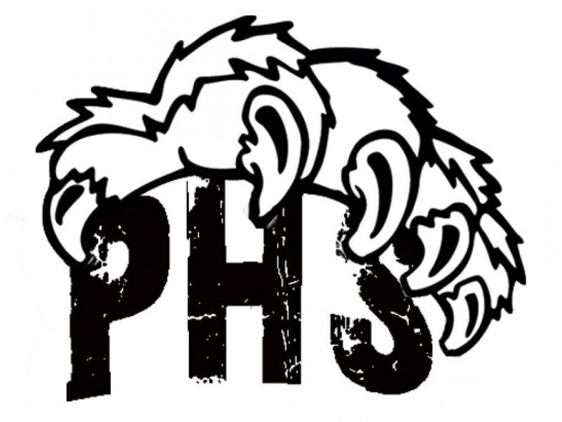 800x600 Plainfield High School Jv Hockey Vs Chicago Bruins Plainfield