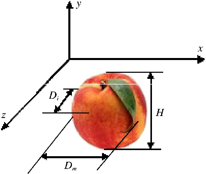 404x342 engineering properties and bruise susceptibility of peach fruits