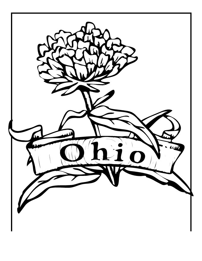 680x880 ohio state buckeyes coloring pages