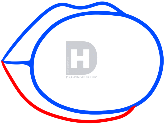 695x524 How To Draw Bubblegum, Step