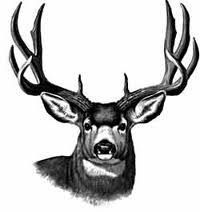 200x212 buck head clipart best deer deer art, elk drawing, deer drawing