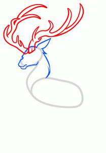 209x302 draw a buck, buck deer, step