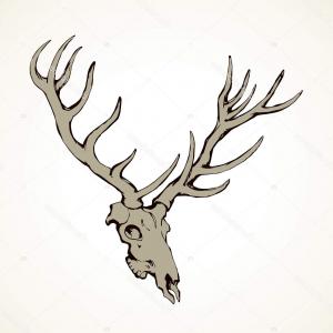 300x300 Hd Vector Buck Deer Vector Design Studiogrfx