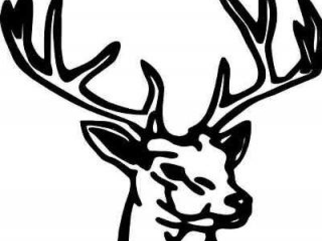 640x480 Huge Collection Of 'buck Deer Clipart' Download More Than