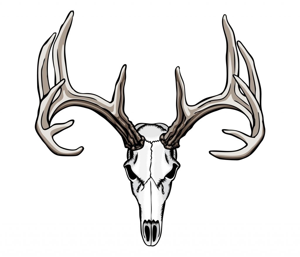 1024x877 Tribal Deer Antler Tattoos Ideas About Deer Skull Tattoos
