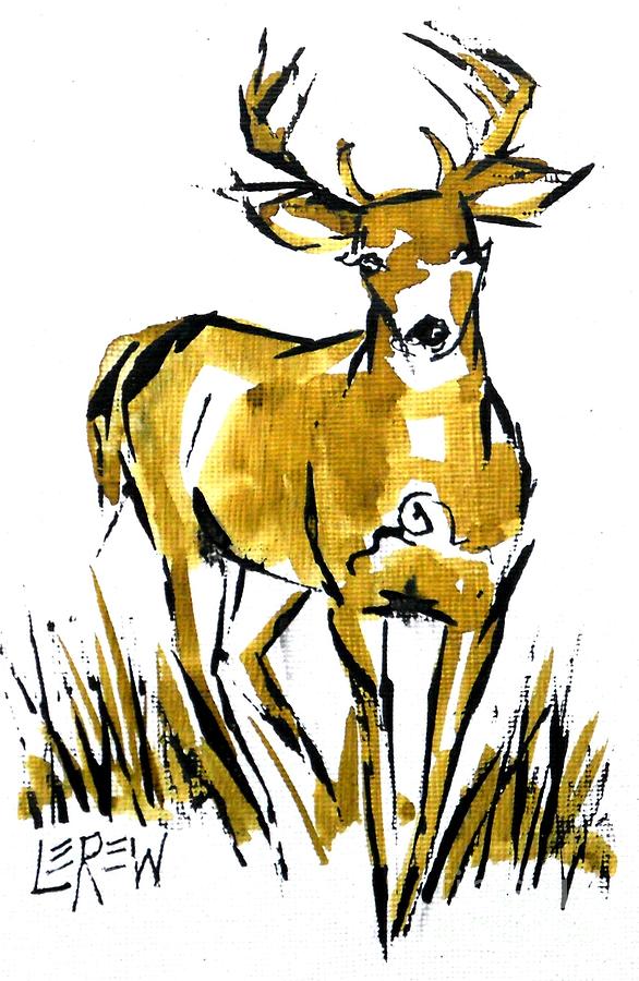 586x900 White Tail Buck Deer Drawing
