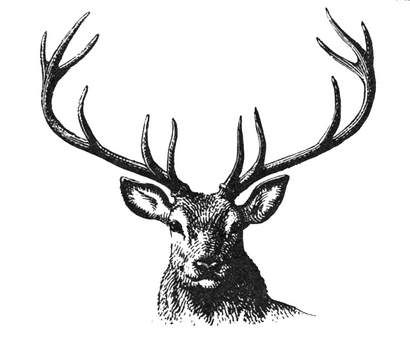 410x347 Dream Buck! Mark Still Stays Alive In Me Deer Stencil, Deer