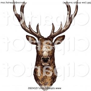 300x300 Best Hd Deer Buck Drawings Vector Pictures Studiogrfx
