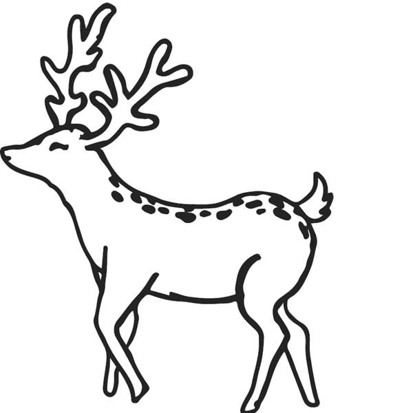 600x600 Collection Of Free Buck Drawing Hipster Download On Ui Ex