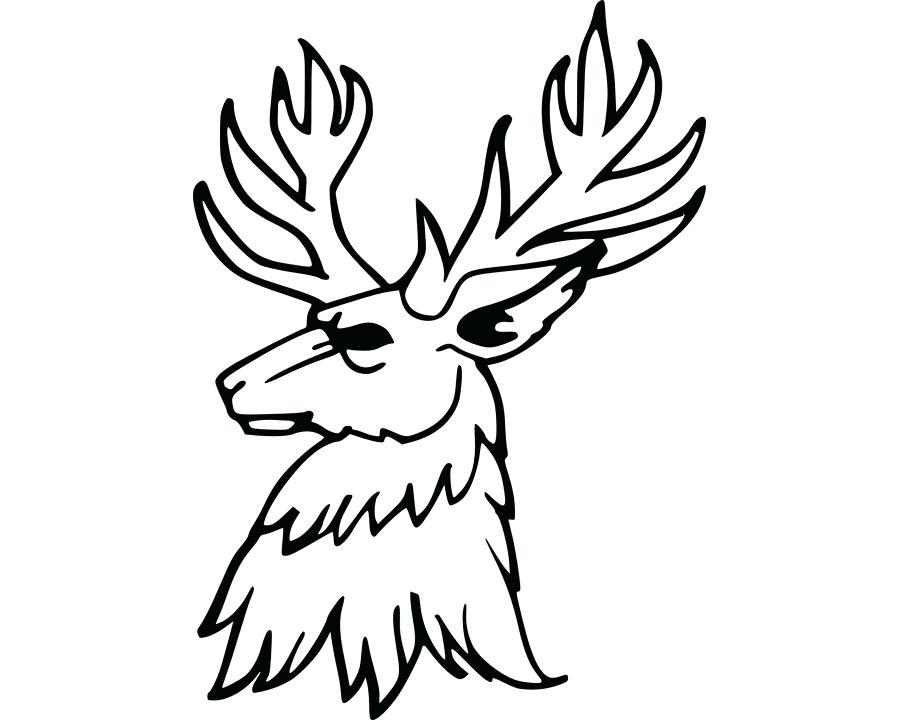 900x720 How Do You Draw A Reindeer Buck Drawing Reindeer Deer Antlers