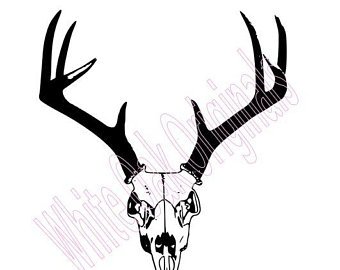340x270 Huge Collection Of 'buck Skull Drawing' Download More Than