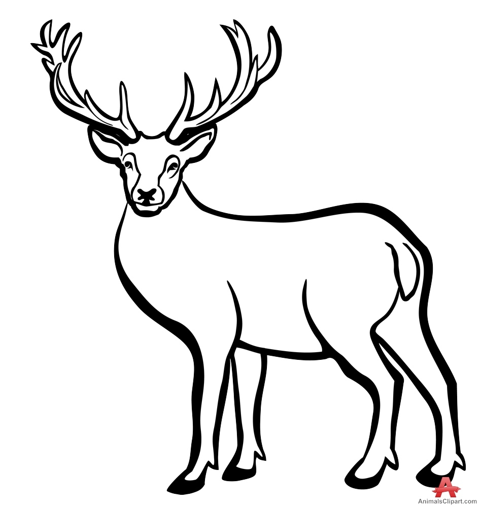 948x999 Buck Drawing For Free Download