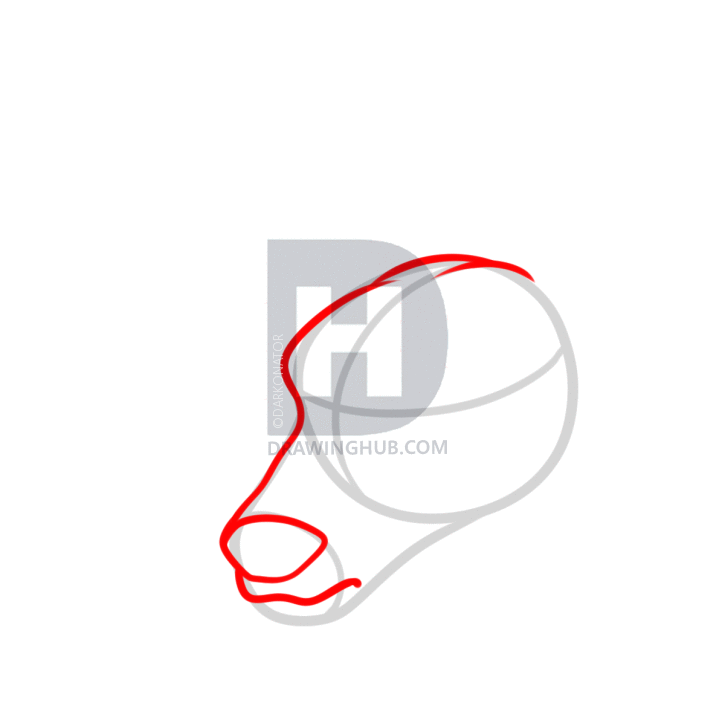 725x720 How To Draw A Deer Head, Step