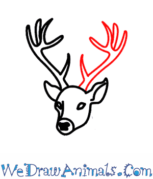 300x350 How To Draw A Deer