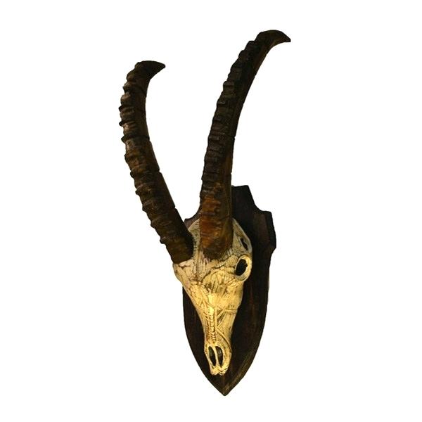 600x600 Image Deer Head Skull Silhouette Buck Machine Embroidery